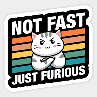 Funny Cat Not Fast Just Furious Sticker